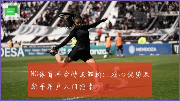 NG体育平台特点解析：核心优势及新手用户入门指南
