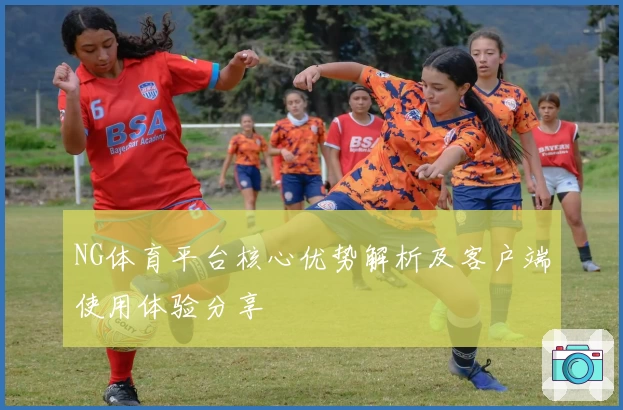 NG体育平台核心优势解析及客户端使用体验分享