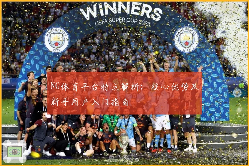 NG体育平台特点解析：核心优势及新手用户入门指南